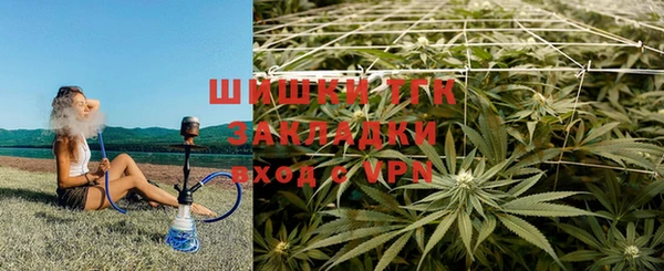 дмт Алексеевка