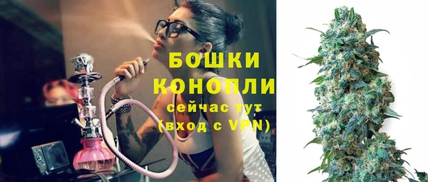 тгк Новодвинск