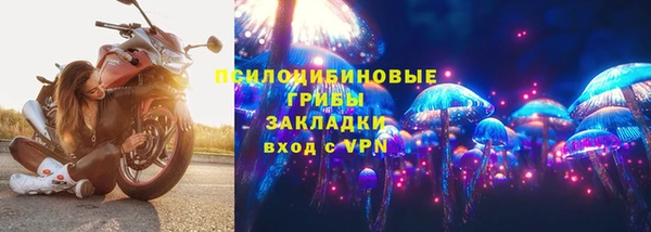 гидра Алзамай