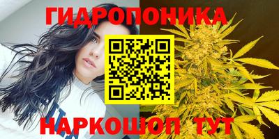 Альфа ПВП Анапа