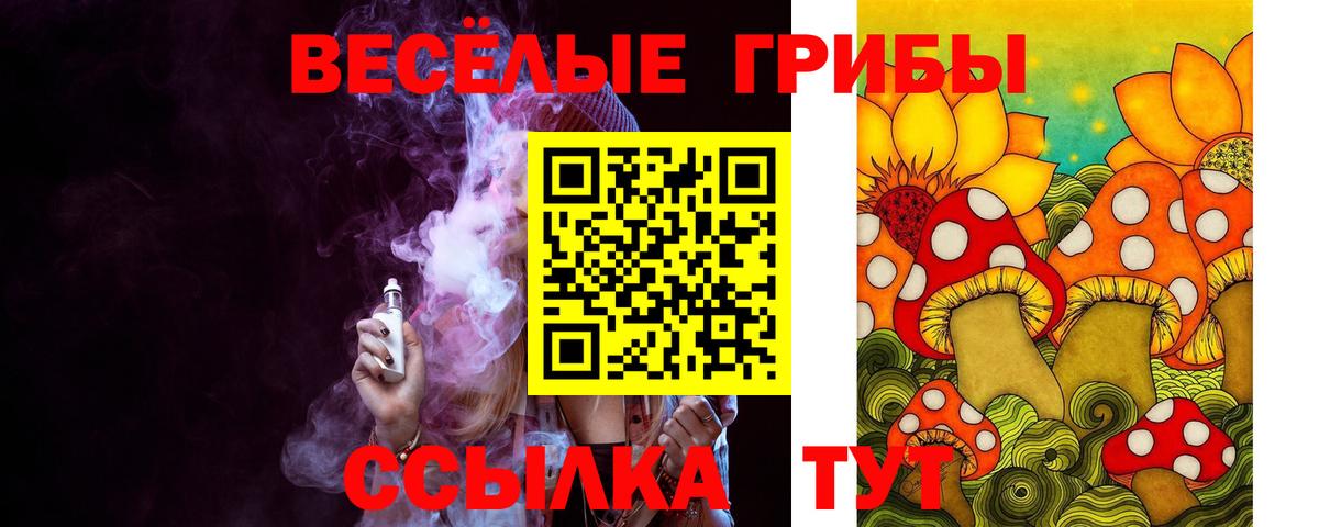 Псилоцибиновые грибы GOLDEN TEACHER Ачинск