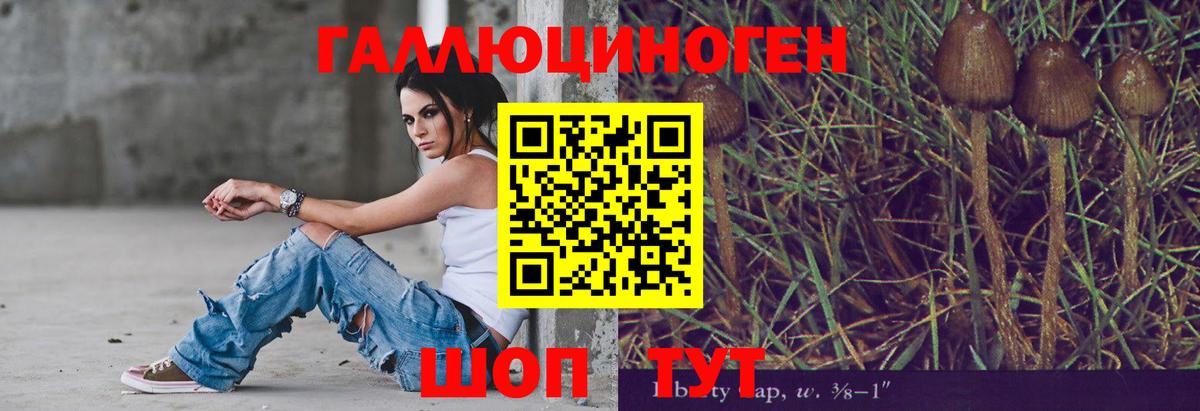 Галлюциногенные грибы GOLDEN TEACHER  Вход с VPN  Галлюциногенные грибы Psilocybe  Ачинск 